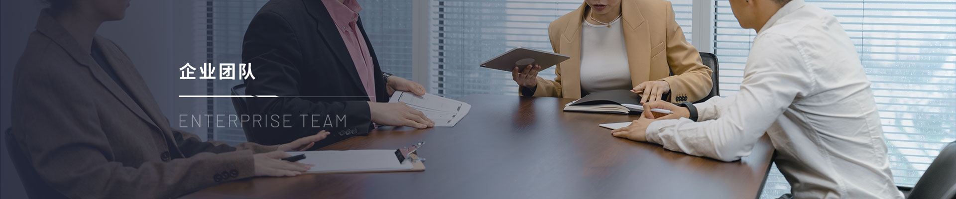 企业团队
