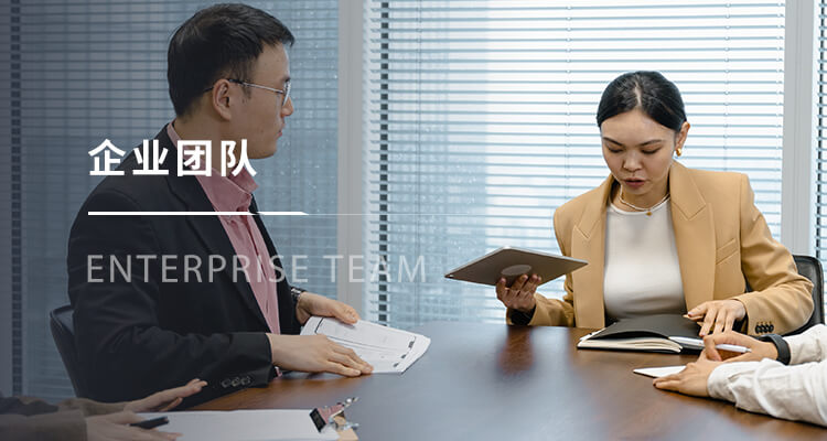 企业团队
